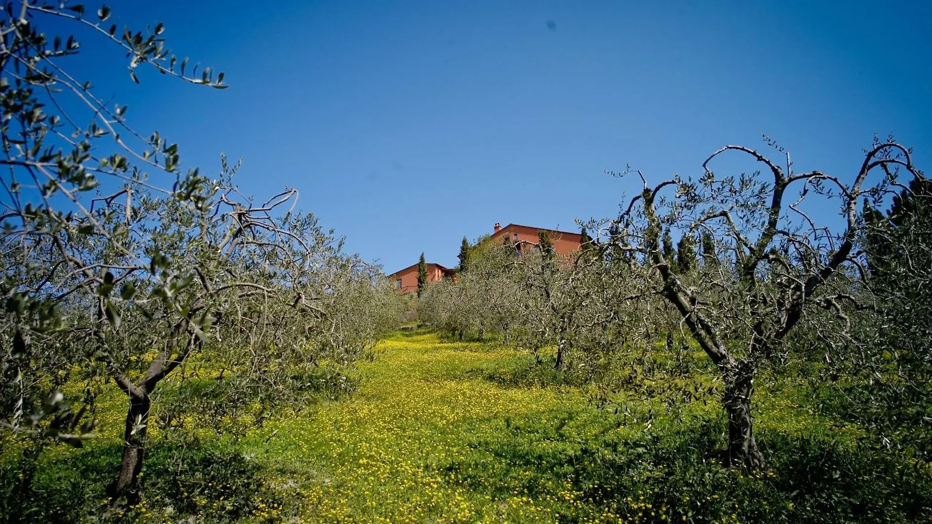 Podere Benintendi Certaldo Bed & Breakfast